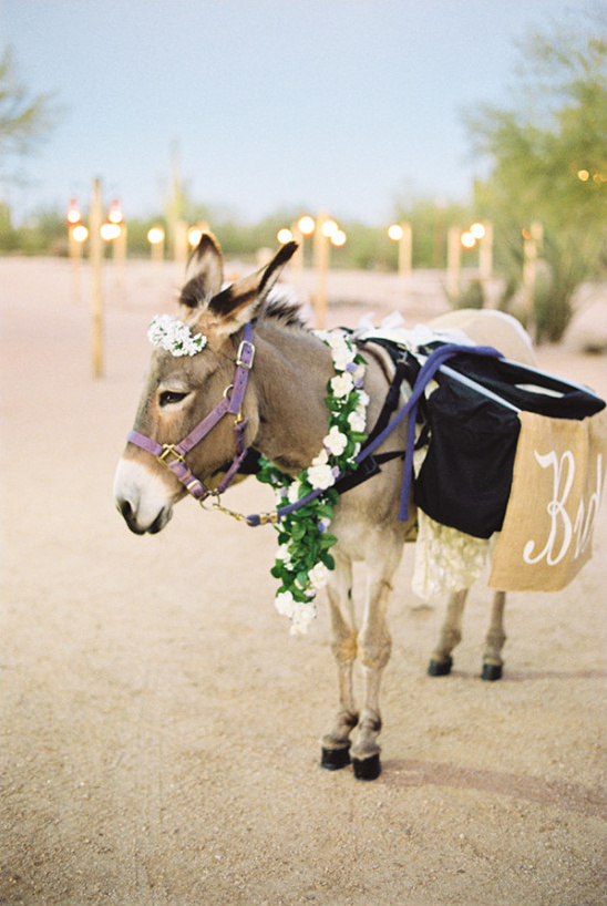 beer burro @weddingchicks