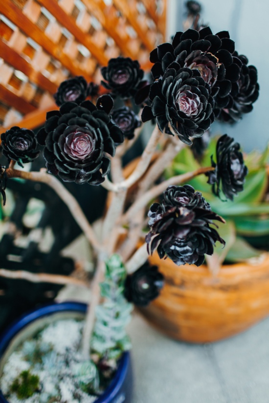 pink-and-green-modern-indie-wedding