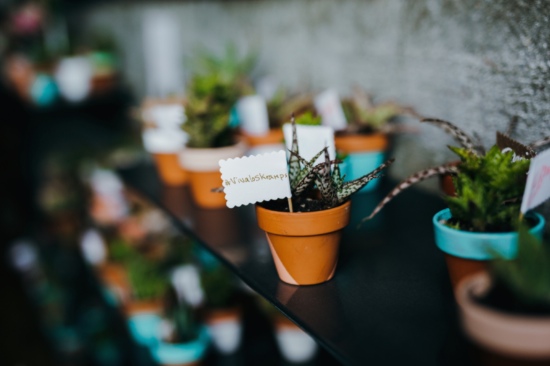 pink-and-green-modern-indie-wedding