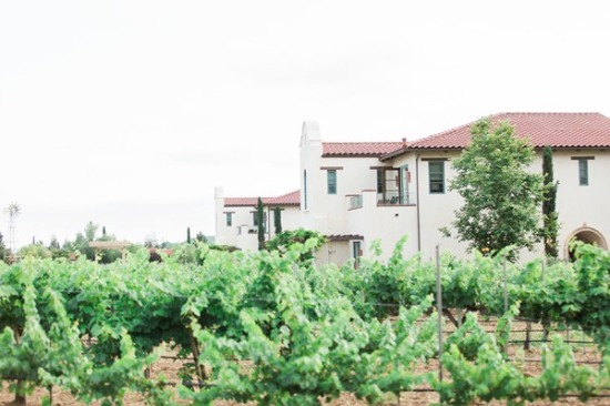 pops-of-pink-vineyard-wedding