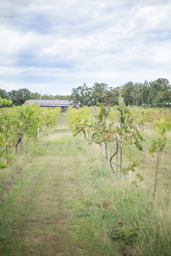 pretty-pink-vineyard-wedding