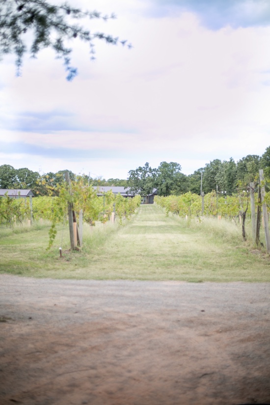 pretty-pink-vineyard-wedding