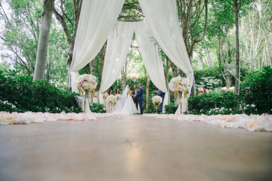 a-stunning-gold-and-pink-garden-wedding