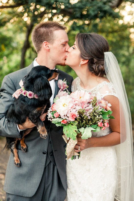 Bride groom and dog kiss on wedding day