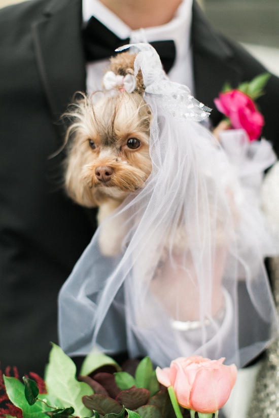 chic-gold-black-and-magenta-wedding