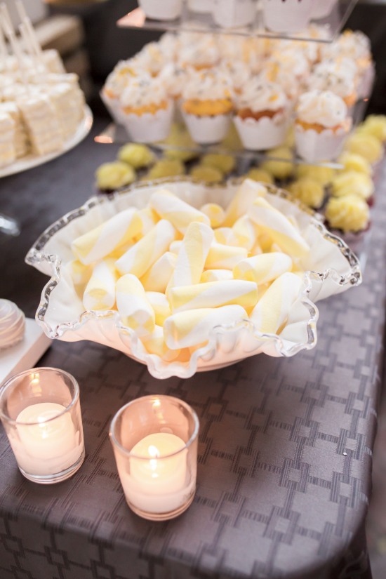 nyc-snug-harbor-wedding