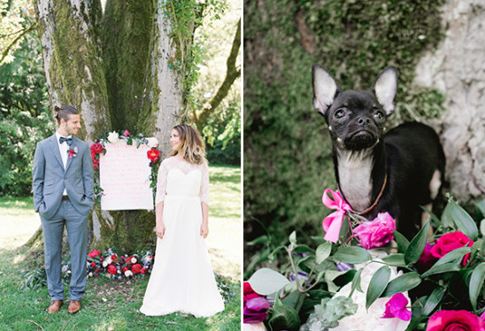 Wedding couple portrait with adorable chihuahua