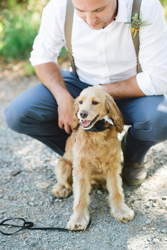 chic-blue-and-gold-outdoor-wedding