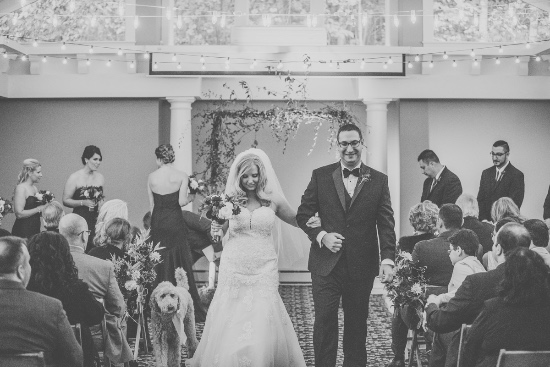 elegant-fall-vineyard-wedding