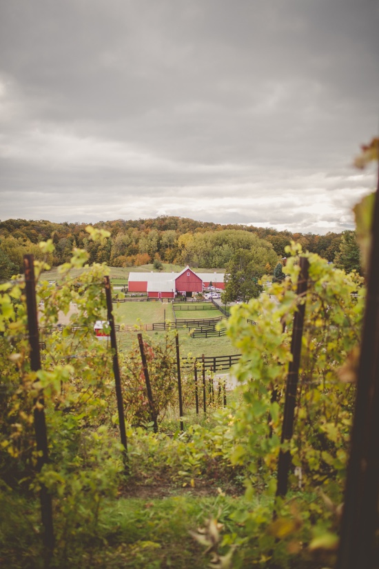 elegant-fall-vineyard-wedding