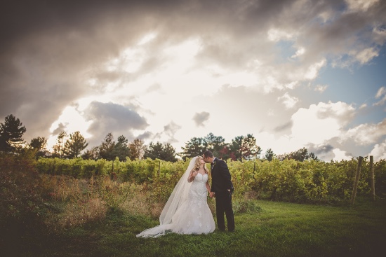 elegant-fall-vineyard-wedding