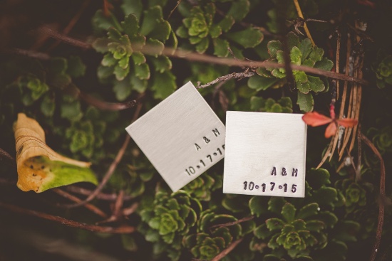elegant-fall-vineyard-wedding