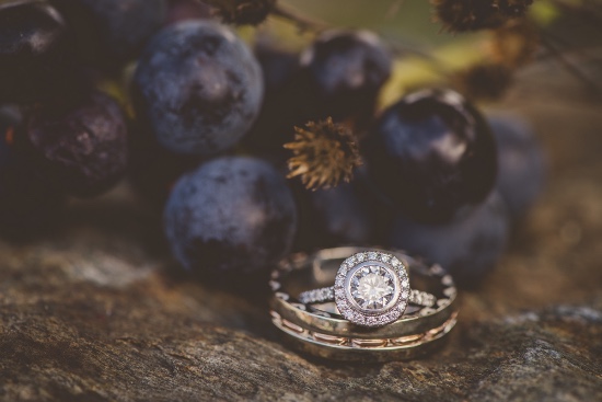elegant-fall-vineyard-wedding