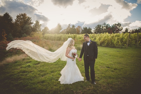 elegant-fall-vineyard-wedding