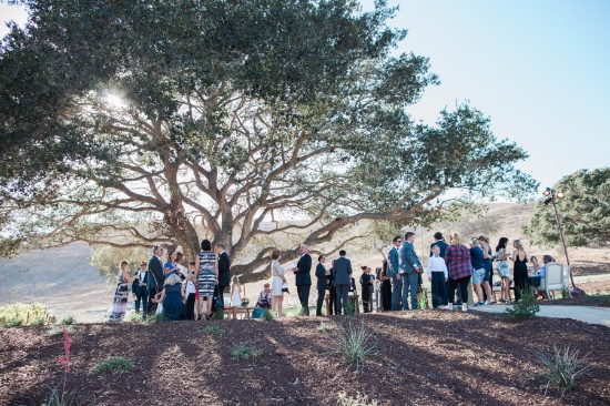 laid-back-luxury-winery-wedding