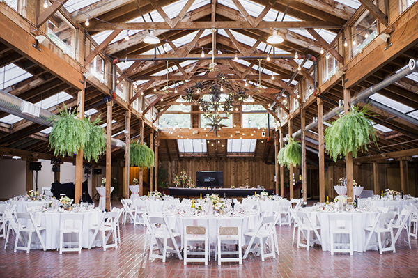 peach-and-orange-garden-wedding