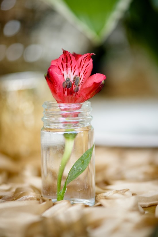 red-and-gold-family-farm-vow-renewal