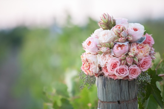 simple-rustic-winery-wedding
