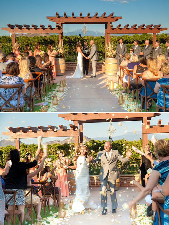 Vineyard wedding ceremony and celebration with flower petals