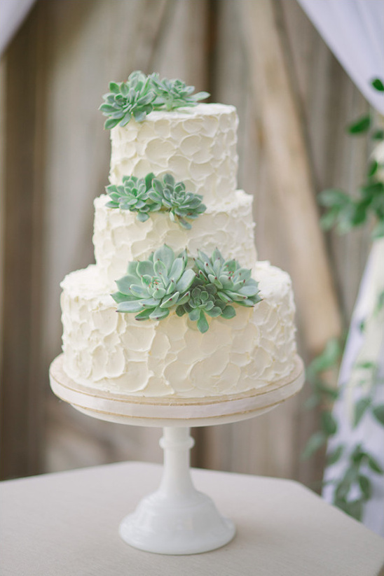 rustic wedding cakes with suculents