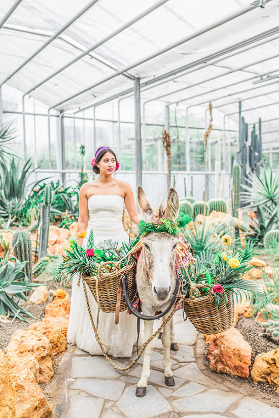 Bride poses with a donkey decorated with flowers in a greenhouse