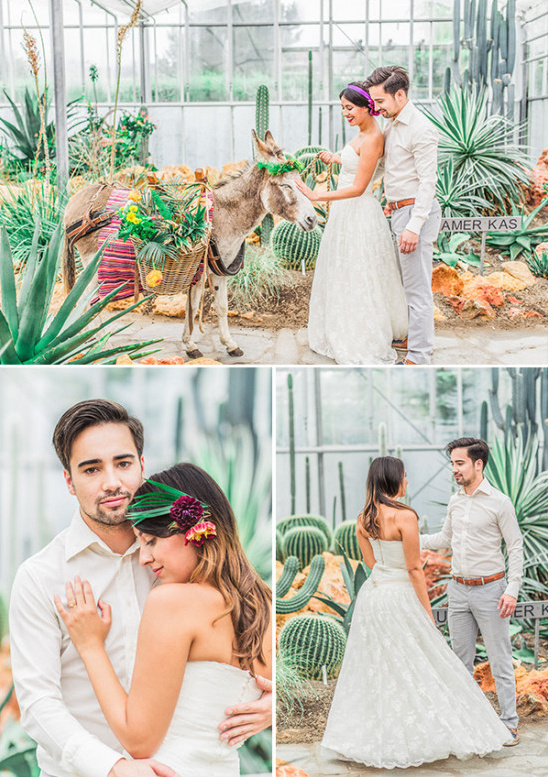 Bride and groom with donkey, botanical garden wedding photoshoot