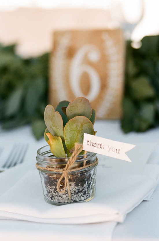Small succulent favor with thank you tag on a table setting