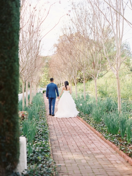 luxurious-lavender-and-royal-blue
