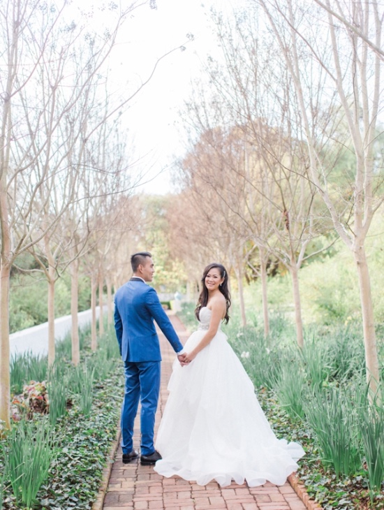 luxurious-lavender-and-royal-blue