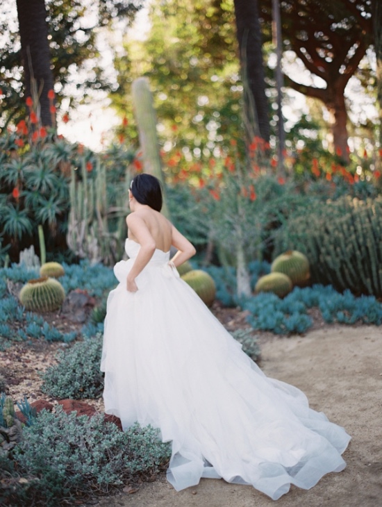 luxurious-lavender-and-royal-blue