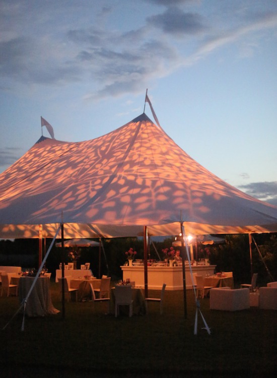 purple-luxury-farm-wedding