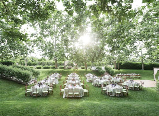 purple-luxury-farm-wedding