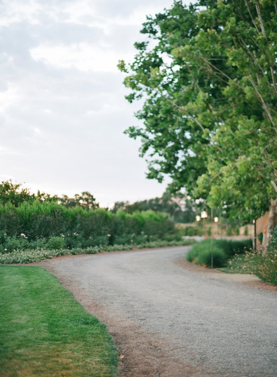 purple-luxury-farm-wedding
