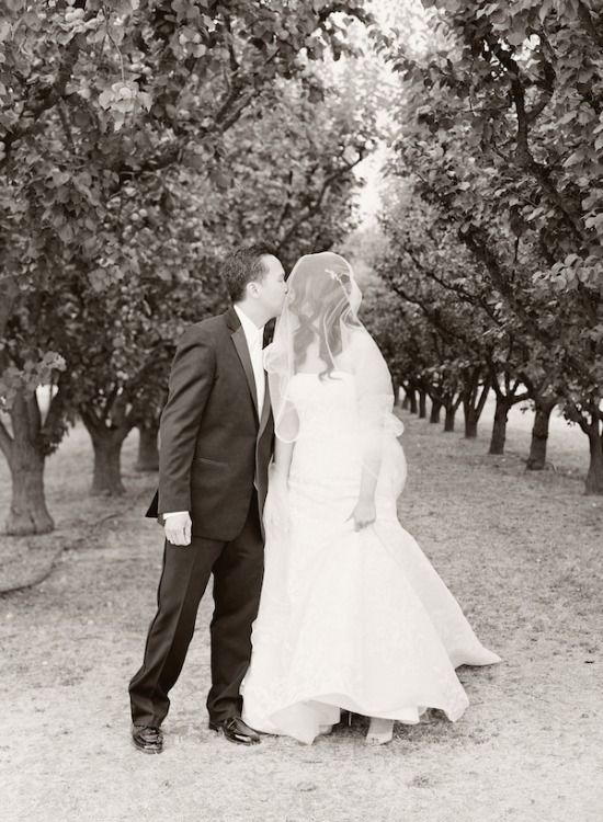 purple-luxury-farm-wedding