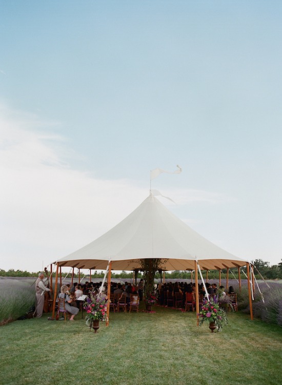 purple-luxury-farm-wedding