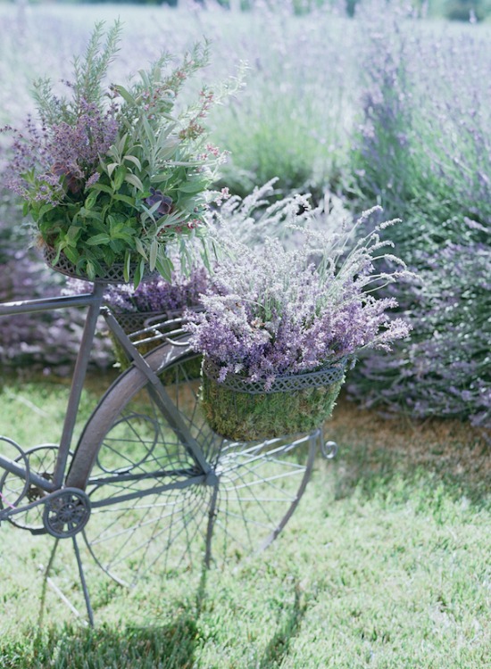 purple-luxury-farm-wedding