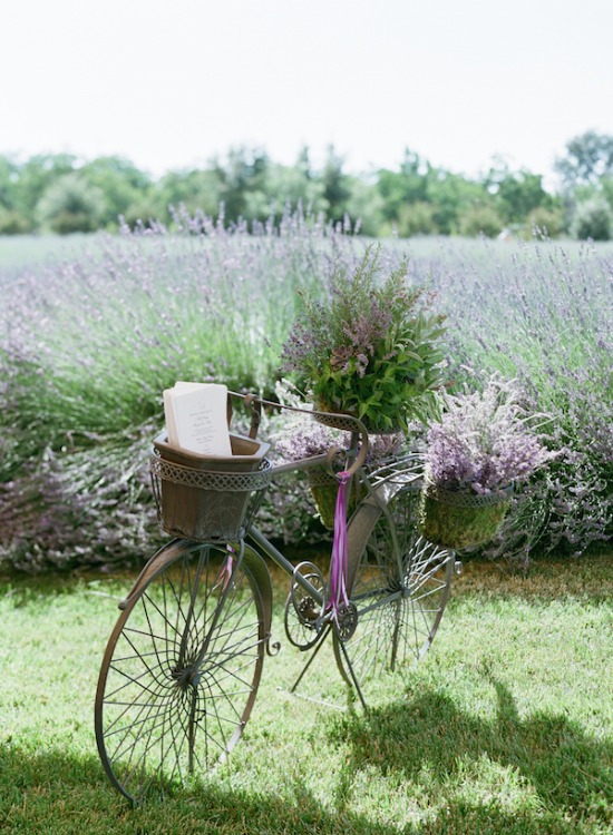 purple-luxury-farm-wedding