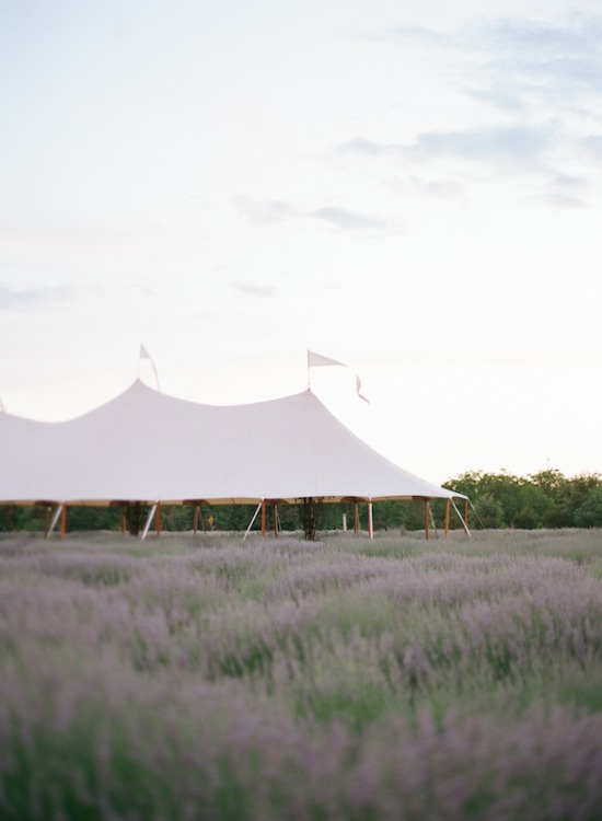 purple-luxury-farm-wedding