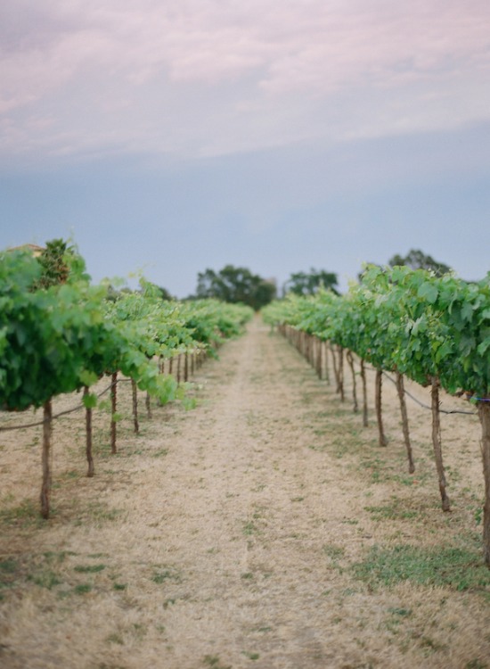 purple-luxury-farm-wedding