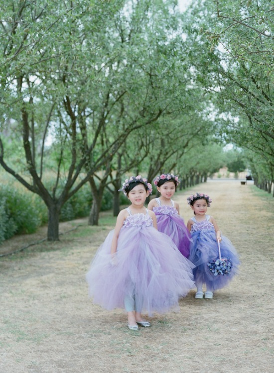 purple-luxury-farm-wedding