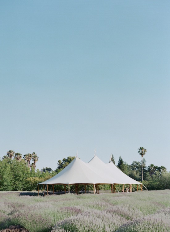 purple-luxury-farm-wedding