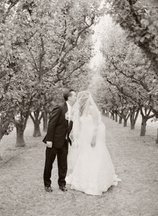 purple-luxury-farm-wedding