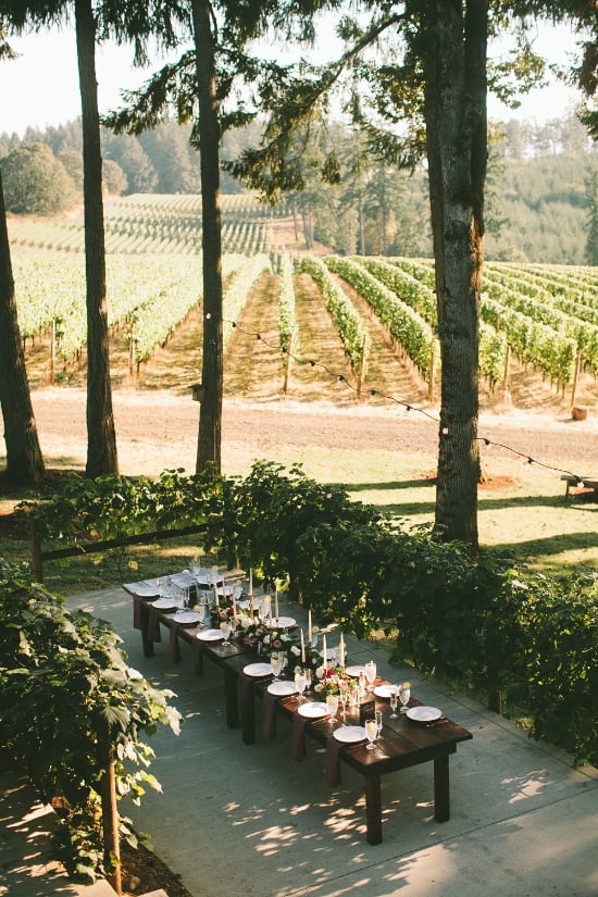 burgundy-and-plum-vineyard-wedding