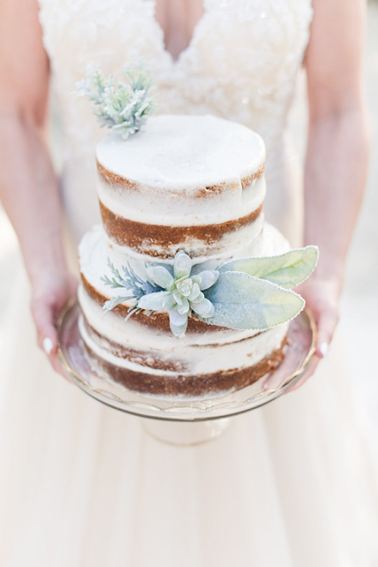 nearly naked wedding cake with succulent and dusty miller accents