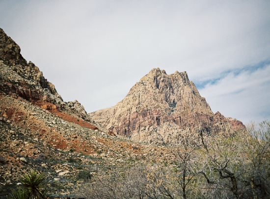 elegant-outdoor-wedding-at-red-rocks