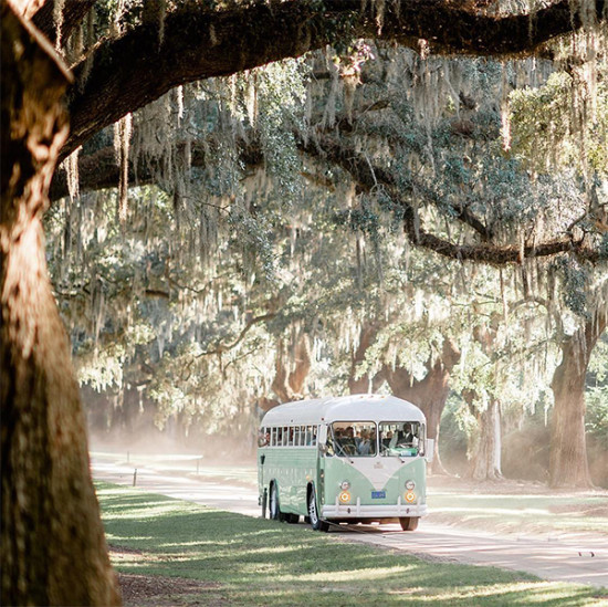 A vintage green bus driving down a scenic tree-lined road