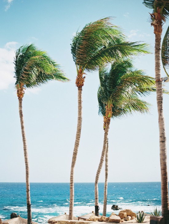 perfectly-polished-los-cabos-wedding