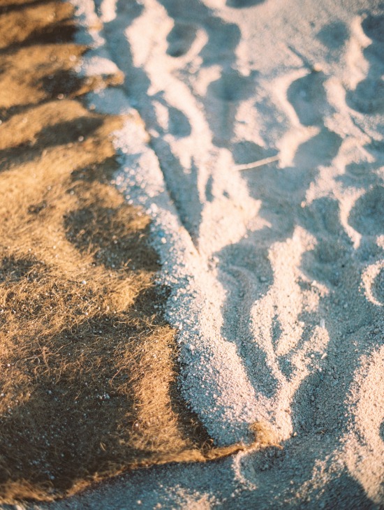 perfectly-polished-los-cabos-wedding