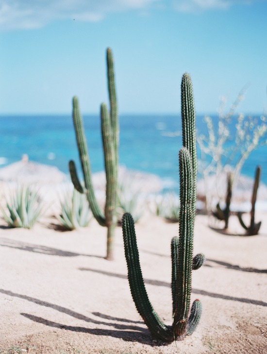 perfectly-polished-los-cabos-wedding