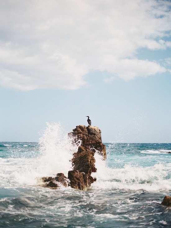 perfectly-polished-los-cabos-wedding